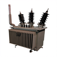 Transformador de Potencia Eléctrico Trifásico Guangfa de 250KVA/11KV/Oem, Estructura de Bobina Toroidal Sumergida en Aceite con Devanado de Cobre, 50Hz/60Hz