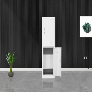 Steel <b>Lockers</b> Double Door <b>Storage</b> <b>Cabinet</b> Key Lock Narrow Floor <b>Locker</b> for Office School Home Use - Product Image 4