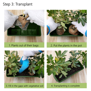 Vente chaude Pots <span class=keywords><strong>de</strong></span> <span class=keywords><strong>fleurs</strong></span> en plastique Récipient en plastique pour plantes Tenture murale Pots suspendus en plastique vert pour plantes - Product Image 6