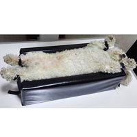 Tapis de positionnement pour animaux de compagnie MT MEDICAL, tapis d'échographie vétérinaire, aide au positionnement radiographique pour chiens et chats en milieu hospitalier
