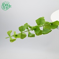 Feuilles artificielles Premium Bells of Ireland vertes 65 cm pour centre de table intérieur, arrangement floral, décoration