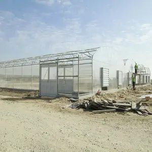 Serre-tunnel agricole en polycarbonate pour l'agriculture