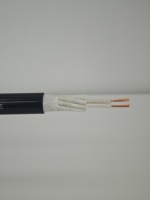 Kabel Daya Multicore Lentur dan Mudah Dibengkokkan 10x1.5mm2 300/500V Konduktor Tembaga Berinsulasi Ganda