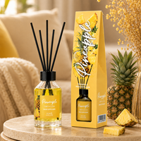 Diffuseur de parfum d'ambiance 100 ml, écologique, bâtonnets naturels, bouteille en verre recyclable, longue durée, idée cadeau