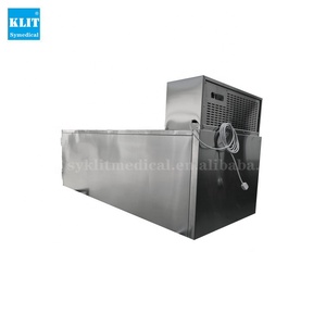 Prix du fabricant 1 Chambre froide Congélateur <span class=keywords><strong>mortuaire</strong></span> Congélateur de carrosserie de voiture - Product Image 2