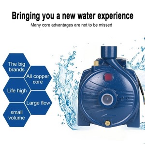 Pompe centrifuge auto-amorçante à grand débit électrique pour eau chaude domestique, chauffage au sol, surpresseur, pompe de circulation de type <span class=keywords><strong>Pedrollo</strong></span> - Product Image 3