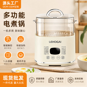 Lehogai Egg <b>Cooker</b> 2-Layer Electric Steamer With <b>Timer</b> And Function For Home Use - Product Image 5
