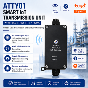 Capteur submersible Tuya Smart Wi-Fi/BLE 5.0 sans fil, double sortie 4-20mA, haute résistance IP68, pour eau et huile, en acier inoxydable 316L, en temps réel - Product Image 1