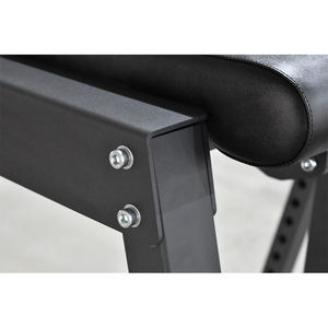 Equipo de gimnasio de Fitness comercial, hiperextensión inversa - Product Image 5