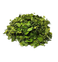 Pasokan pabrik Hilghly kualitas daun Moringa potongan teh terlaris untuk minum