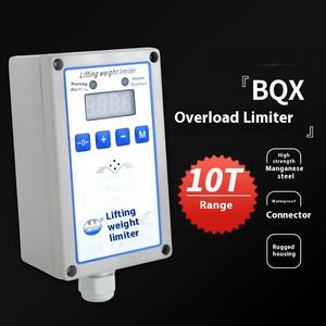 Polipasto Eléctrico de Alta Calidad con Limitador de Carga y Sobrecarga para Grúas, con 1 Año de Garantía, Hecho en China - Product Image 6