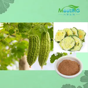 100% Pure Natural Charantin Bitter Melon Extract Powder Momordica Charantia Extract CAS 57126-62-2