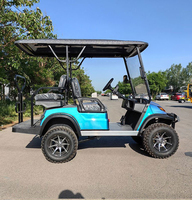 Voiturette de golf électrique multi-places en gros, buggy utilitaire résistant aux intempéries et respectueux du gazon pour les zones panoramiques en plein air