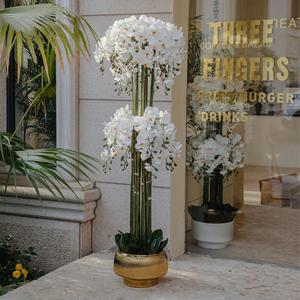 Orchidée Phalaenopsis Artificielle Mengjie Handicrafts, Bonsaï Imprimé en 3D, Pot Texturé, Décoration de Bureau, Intérieur Haut de Gamme et Élégant - Product Image 2