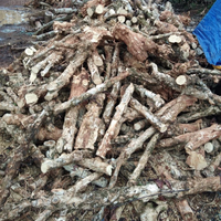 Charbon de bois noir pour barbecue, 7 000 Kcal/kg, 6 % de cendres, 100 % bois de café, trié par taille, emballage personnalisable