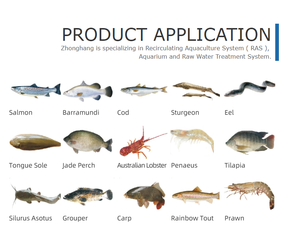 Distributeur automatique de crevettes de marque FUTI - Product Image 5