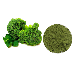 Natuurlijk Broccoli Zaad Extract 10% Sulforafaan Broccoli Zaad Extract Poeder - Product Image 1