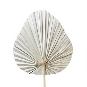 Grand éventail en feuilles de palmier blanches séchées naturelles pour la décoration bohème tropicale de la maison - Product Image 1