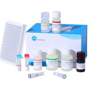 Kit ELISA FineTest para B-<span class=keywords><strong>HCG</strong></span> (<span class=keywords><strong>beta</strong></span>-Hiperglucosilado) Humano, 48/308T, Sandwich ELISA, Rango de Sensibilidad 7.813-500mIU/ml, Sensibilidad 4.688mIU/ml - Product Image 1