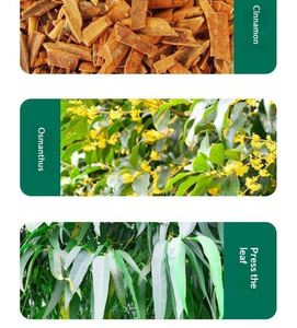 Parche de Moxibustión de Artemisia para Uso Doméstico, Parche de Acupuntura para Rodilla, Lumbar y Cervical, Terapia Herbal Cálida, Adhesivos para Alivio del Dolor - Product Image 4