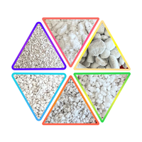 Perlite expansée utilisée comme matériau d'isolation pour la construction, l'horticulture et la culture des fleurs. Les particules de perlite sont sans poussière.