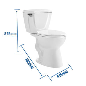 Inodoros de Dos Piezas con Diseño Sifónico de Descarga Lateral para Ahorro de Agua en Latinoamérica, 300 mm, Acabado Rústico - Product Image 2