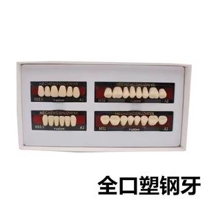 Kit de dents artificielles en résine synthétique de haute qualité pour laboratoire dentaire, livraison directe Shopify. - Product Image 6