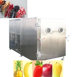 Vakuum einfrieren trockner gefriertrocknung erdbeere obst und gemüse Industrie trockner maschine