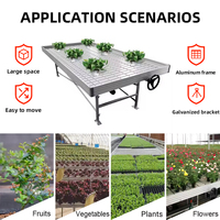 Tables roulantes/banc avec plateaux d'inondation Table de culture de fruits à effet de serre pour systèmes hydroponiques commerciaux