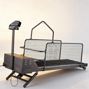 Cinta de correr <span class=keywords><strong>para</strong></span> mascotas de alta resistencia personalizable al por mayor EUR PET, carga máxima de 100 kg <span class=keywords><strong>para</strong></span> peluquería y rehabilitación canina - Product Image 6