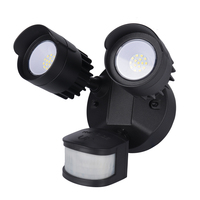 La couleur peut être personnalisée 120 degrés panoramique bébé caméra vidéo capteur de mouvement lumière de sécurité extérieure Super lumineux IP54 projecteur