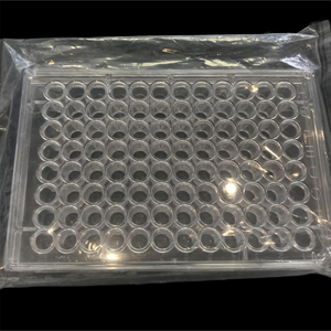Kualitas tinggi transparan keamanan datar 15 Cm jaringan sel budaya <span class=keywords><strong>96</strong></span> Well Pcr sumur piring - Product Image 2