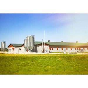 Solución de Granja Avícola con Estructura de Acero de Alta Calidad, Superficie Galvanizada, Vida Útil de 50 Años, Gallinero Prefabricado Pre-ingenierizado - Product Image 1