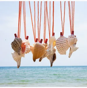 Fischietto in Conchiglia Naturale, Corno di Conchiglia Fatto a Mano per Esibizioni Musicali, Attività all'Aperto, Feste a Tema Spiaggia, Decorazioni per Matrimoni - Product Image 3