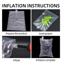Sac de colonne d'air tampon écologique gonflable PE + PA de haute qualité pour les aliments aux fruits