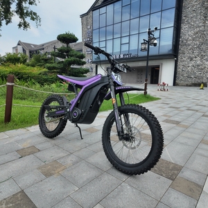 <span class=keywords><strong>Precio</strong></span> de Fábrica para Motocicleta Eléctrica Lynx de 10KW 72V con Motor Central de Litio, Frenos de Disco, 120km de Autonomía, <span class=keywords><strong>Moto</strong></span> de Carreras para Adultos - Product Image 3