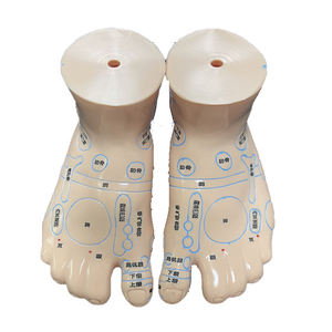 53 सेमी मानव शरीर एक्यूपंक्चर मॉडल, चीनी दवा शिक्षण एक्यूपॉइंट मेनेक्विन दबाव बिंदु एक्यूपंक्चर मॉडल - Product Image 6