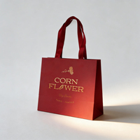 Sacs en papier de luxe personnalisés avec logo et estampage à chaud doré pour produits de fitness – Emballage professionnel