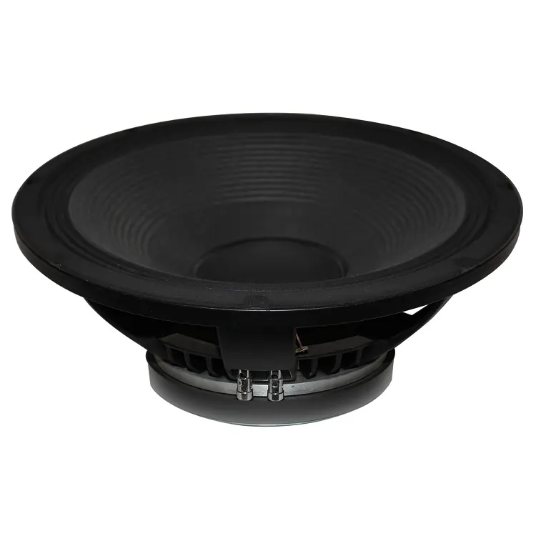 10 इंच पेशेवर ऑडियो कराओके स्पीकर थोक स्पीकर वूफर subwoofer WL1004