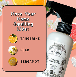 Spray Éliminateur d'Odeurs pour Animaux de Compagnie à Marque Blanche avec Formule Parfumée pour Tapis, Meubles, Bac à Litière, Chiens, Chats – Vente en Gros Personnalisée - Product Image 4