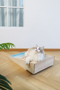 Peinture à l'huile sur toile remplaçable Design de plage Cadre en bois MDF Panneau de fibres de bois pour animaux de compagnie Scratching Board Toy Cat <span class=keywords><strong>Sisal</strong></span> Scratcher - Product Image 3
