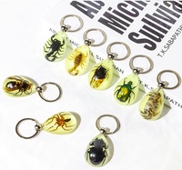 Llavero que brilla en la oscuridad al por mayor con especímenes de insectos reales, llaveros promocionales divertidos de recuerdo de Halloween y Navidad, mosquetones
