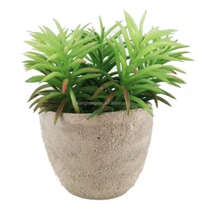 Planta de cactus grande para exteriores, mini suculentas artificiales de tacto real, sedum eceveria, púas en maceta, sin maceta, pequeñas para Decoración