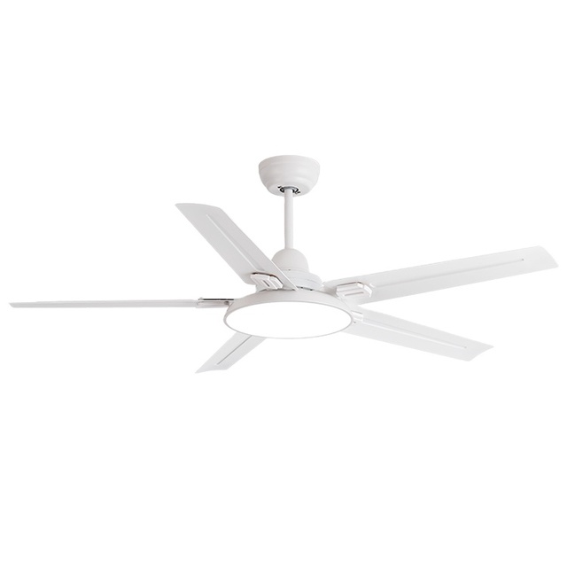 Low Price Wholesale Modern Iron Blade Decorative 220v Bldc Led Smart Ceiling Fan Light