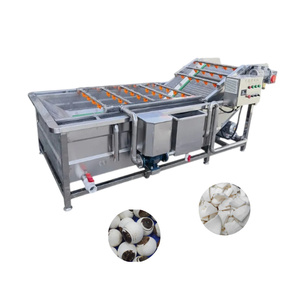 Máquina Lavadora de Burbujas Industrial Totalmente Automática para Pulpa de Coco, Maíz, Frutos Secos, Vegetales y Frutas con Soplador de Aire y Elevador - Product Image 1