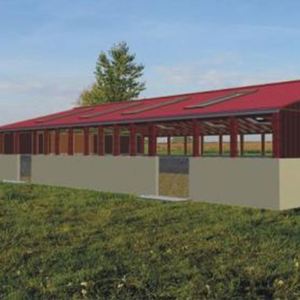 Chi Phí Thấp Thực Tế Prefab Kết Cấu Thép Chất Lượng Tốt Gia Cầm Nhà Pig Gia Cầm Nhà - Product Image 5