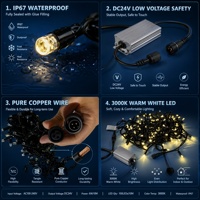 Guirlandes lumineuses décoratives étanches IP67 110V, 10 mètres, 100 ampoules, télécommande, effet ciel étoilé, pour extérieur, fabrication en usine