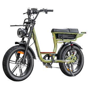 Vélo électrique de ville EU Warehouse C28, 250W, 48V, 15.6AH, pneus larges 20*4 pouces, autonomie 50 km, porte-bagages avant, Fatbike V20 - Product Image 2