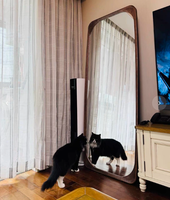 Miroir sur pied pleine longueur en bois de noyer, forme ovale, coins arrondis, miroir décoratif inclinable pour chambre et salon