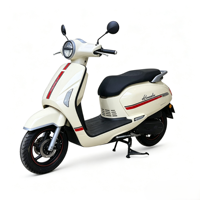 Contrôleur de trottinette électrique 2000W, module 12T avec amortisseur hydraulique avant, frein à double disque, pièces de trottinette électrique haute puissance